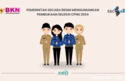 Penting! Rincian Seleksi CPNS & PPPK 2024, Skema Tiga Gelombang dan Jadwal Terbaru! (Foto : jobnews.id)