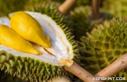 Ssst... Durian Matang dan Manis Hanya Dengan 5 Langkah Mudah! Simak Yuk! (Foto : Dok. Istimewa)