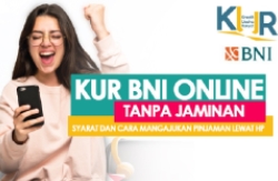 Ilustrasi Pinjaman KUR Bank BNI Online