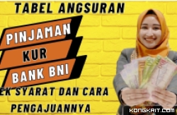 Ilustrasi Pinjaman KUR Bank BNI