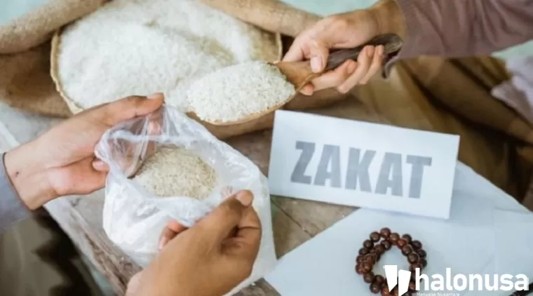 Ilustrasi Zakat