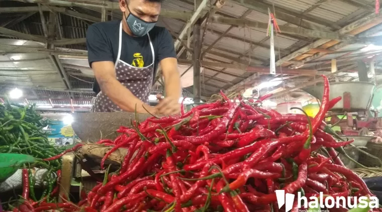 Pedagang cabai merah membersihkan dagangannya