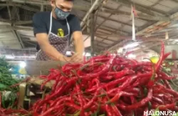 Pedagang cabai merah membersihkan dagangannya