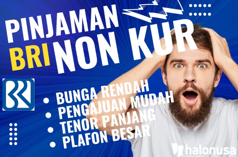 Ilustrasi Pinjaman Kupedes BRI (foto: Canva)