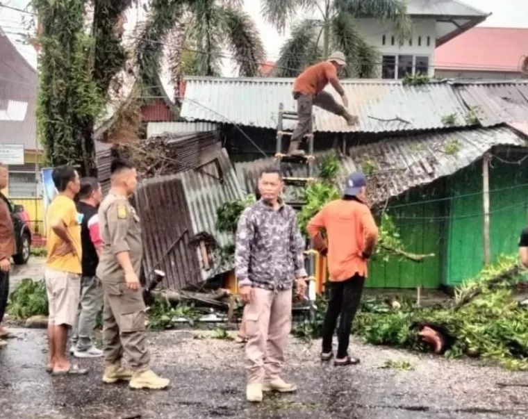 Petugas Satpol PP tengah evakuasi lokasi pohon tumbang di Padang. (Foto: Humas Satpol PP Padang)