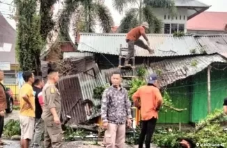 Petugas Satpol PP tengah evakuasi lokasi pohon tumbang di Padang. (Foto: Humas Satpol PP Padang)