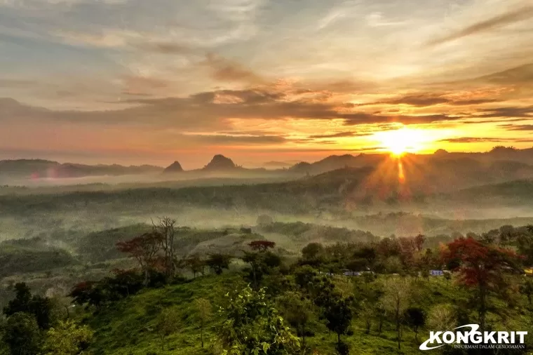 5 Objek Wisata Menarik di Bojonegoro, Jawa Timur yang Wajib Untuk Dikunjungi (Foto: Dok.Istimewa)