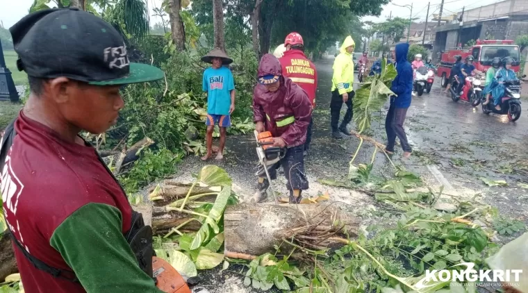 Petugas gabungan Polsek, BPBD, Damkar, PLN, melakukan evakuasi pohon tumbang di lokasi bencana