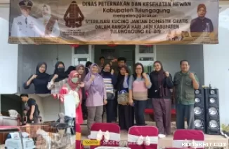 Disnakkeswan gelar sterilisasi gratis kucing jantan di Puskeswan Sendang