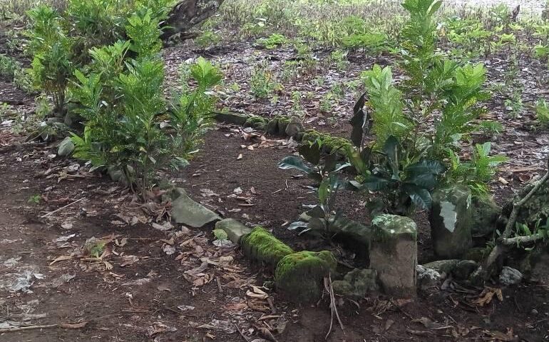 Cagar Budaya Makam Tuangku Badaruddin di Kota Pariaman