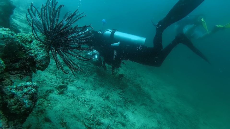 Pecinta olahraga minat khusus (diving) menikmati wisata bahari perairan Sumatra di Pesisir Selatan, Sumatera Barat. Sabtu (26/9/2020). Pemerintah bakal menggelontorkan anggaran sebesar Rp 1 triliun untuk pemulihan sektor pariwisata di dalam negeri melalui