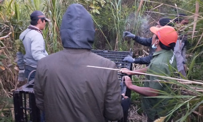 Petugas BKSDA dan Bukittinggi Zoo saat memasang perangkap untuk menangkap harimau sumatra di Jorong Rawang Gadang, Nagari Simpang Tanjung Nan IV, Kabupaten Solok, Jumat (4/12/2020). | Tanhar/Halonusa