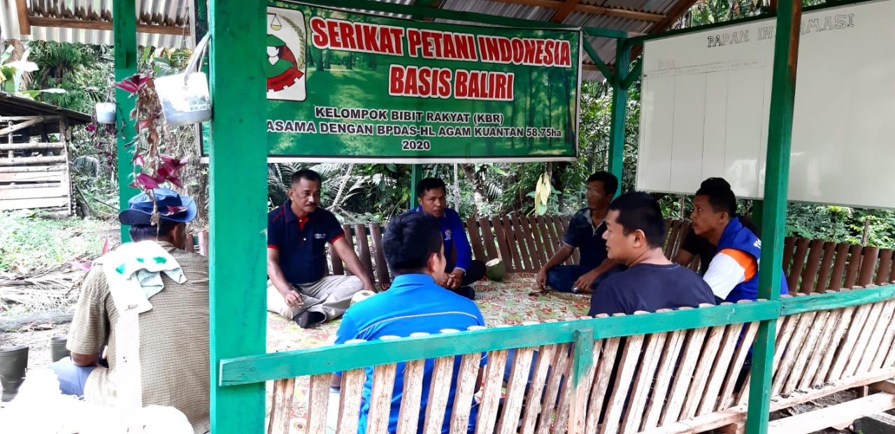 SPI Baliri dan SPI Sumbar bersama 25 Kepala Keluarga dan unsur pemerintahan menanam 6 jenis bibit pohon sebanyak 22.000 batang di kawasan penanggulangan dan perubahan iklim kedaulatan pangan, tepatnya di Korong Batang Piaman Katiak, Nagari Gunuang Padang 