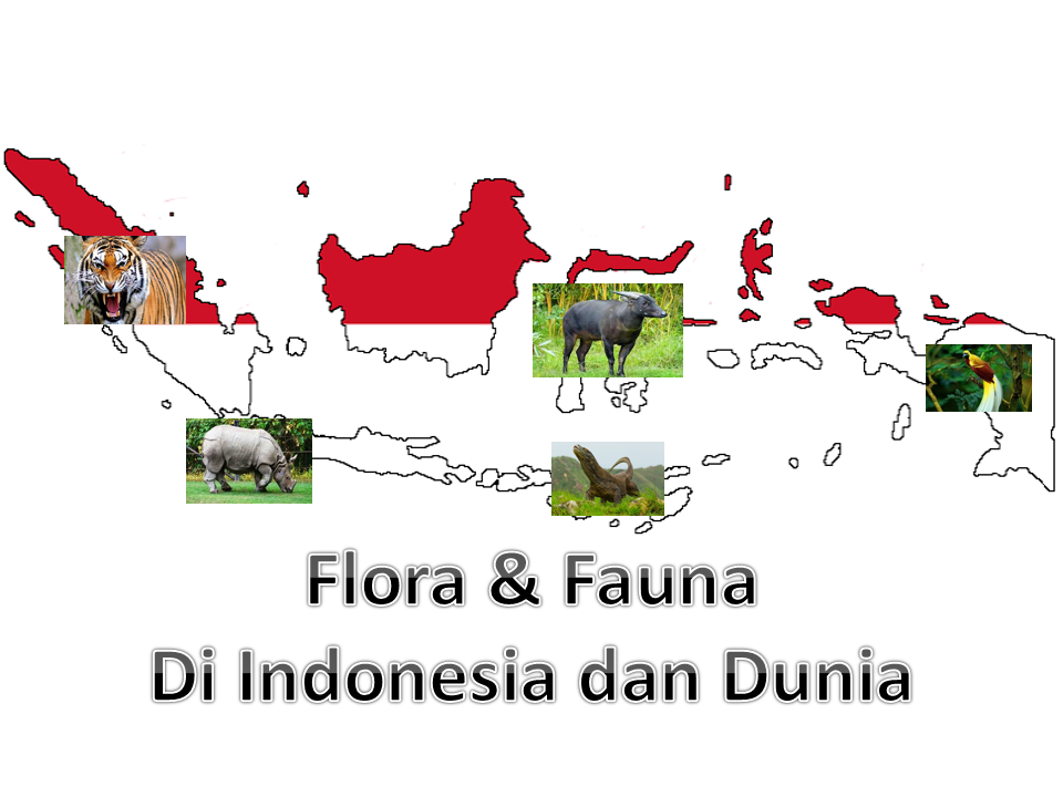 Ilustrasi persebaran flora dan fauna di Indonesia (foto: infopubliknews)