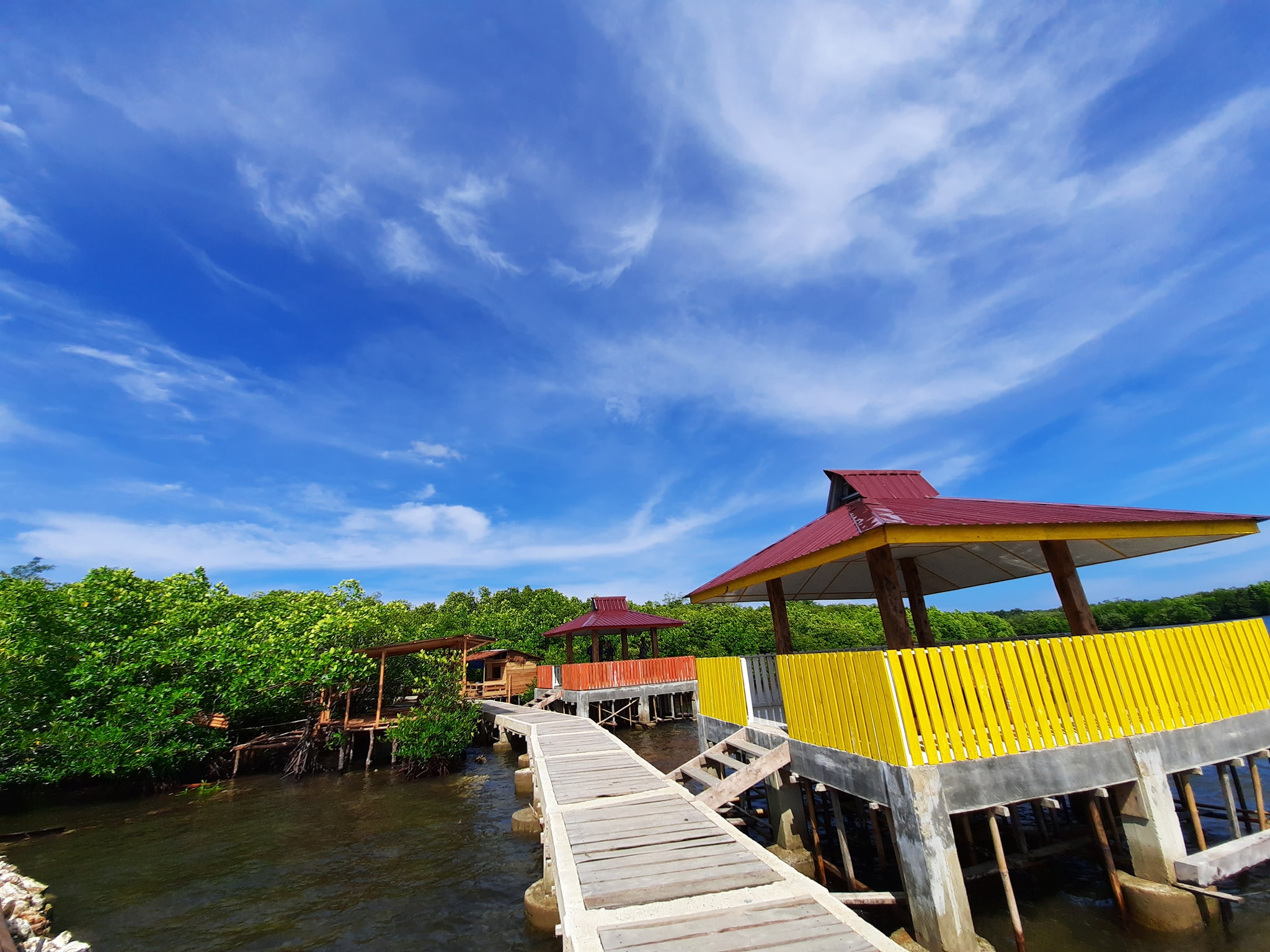 Kawasan Hutan Mangrove di Kabupaten Nias Utara, Sumatera Utara yang merupakan salah satu andalan tujuan wisata di daerah tersebut, 12 Februari 2020 | Dokumen: Steen Harefa