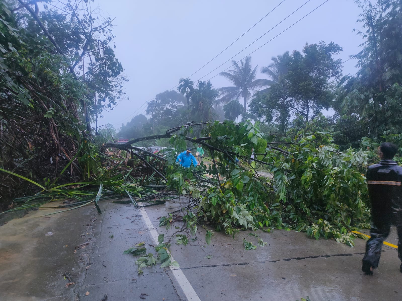 Jalur Sitinjau Lauik dilanda longsor. (Foto: Dok. TRC Semen Padang)