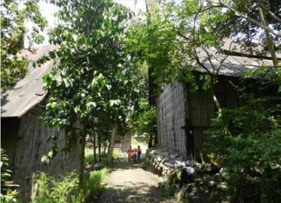 Sejarah Cagar Budaya Rumah Gadang Zuherman di Kabupaten Tanah Datar (Foto: BPCB Sumbar)