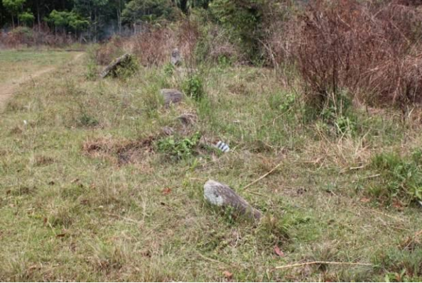 Sejarah Cagar Budaya Menhir Ampang Gadang I di Kabupaten Limapuluh Kota (FOTO: BPCB Sumabar)