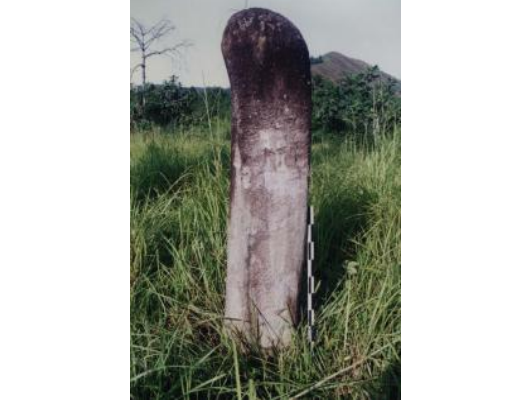 Sejarah Cagar Budaya Menhir Bukit Domo III di Kabupaten Limapuluh Kota (FOTO: BPCB Sumabar)