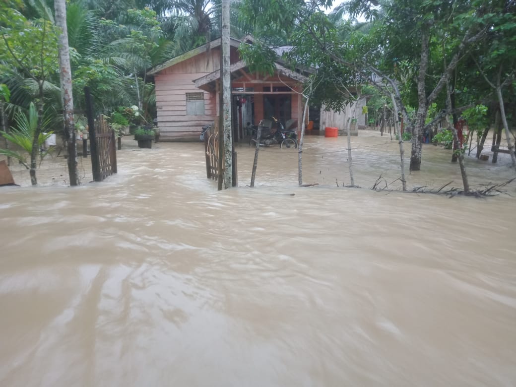 Banjir merendam sejumlah wilayah di Kabupaten Aceh Timur, Aceh, Minggu (2722022). (Dok. BPBA/Halonusa) Hujan dengan intensitas tinggi mengakibatkan bencana banjir yang merendam 13 kecamatan di Kabupaten Aceh Timur, Aceh, Minggu (27/2/2022).