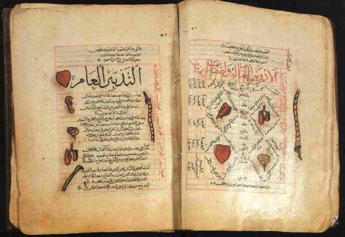 Manfaat Ganja Dalam Buku Ibnu Sina The Canon of Medicine. Ibnu Sina mengkhususkan seluruh bagian karyanya dalam pengobatan langsung terhadap ganja dalam Qanun Kedokteran  Jilid II, IV. (Foto: Muslim Heritage/Halonusa)
