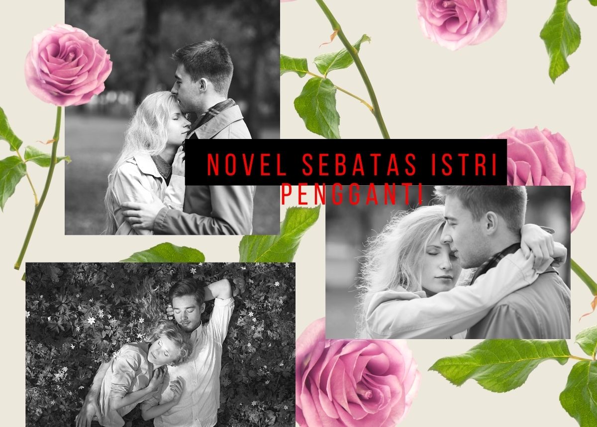 Novel Sebatas Istri Pengganti