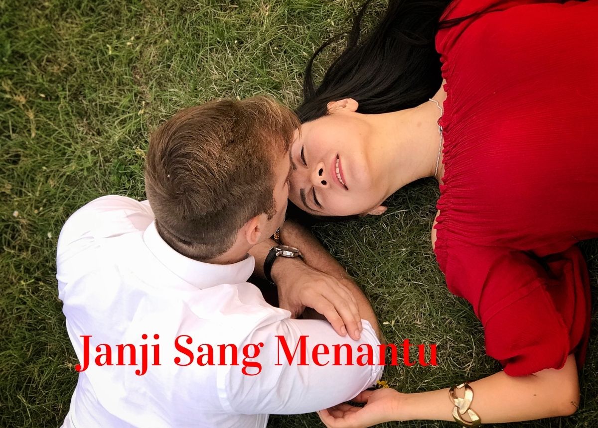 Baca Novel Janji Sang Menantu Gratis Full Episode PDF