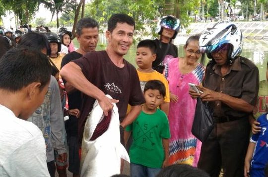 Seorang pemancing taklukkan GT Raksasa di GOR H Agus Salim Padang