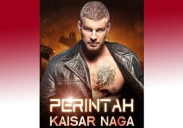 Baca Novel Perintah Kaisar Naga