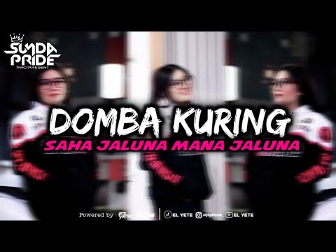 Lirik Lagu Saha Jaluna Viral TikTok