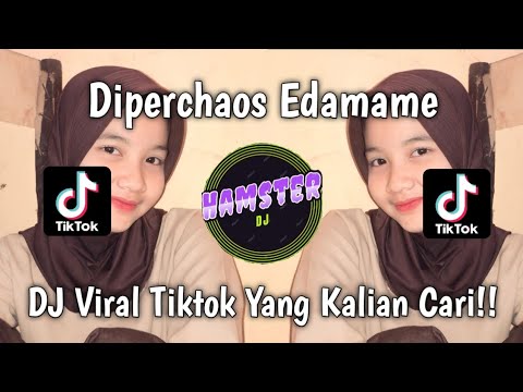 Arti Lirik Lagu Diperchaos Edamame