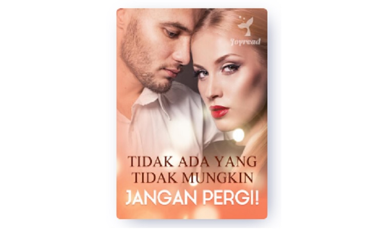 Baca Novel Tidak Ada yang Tidak Mungkin Jangan Pergi