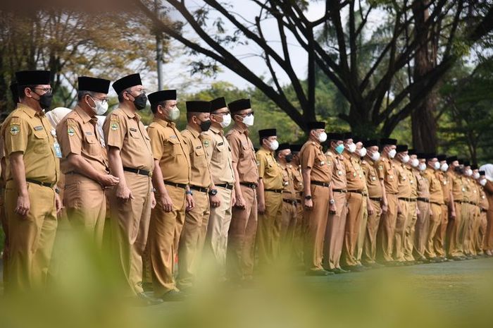 Pegawai Negeri Sipil (PNS) (Foto: smkmucirebon.sch.id)