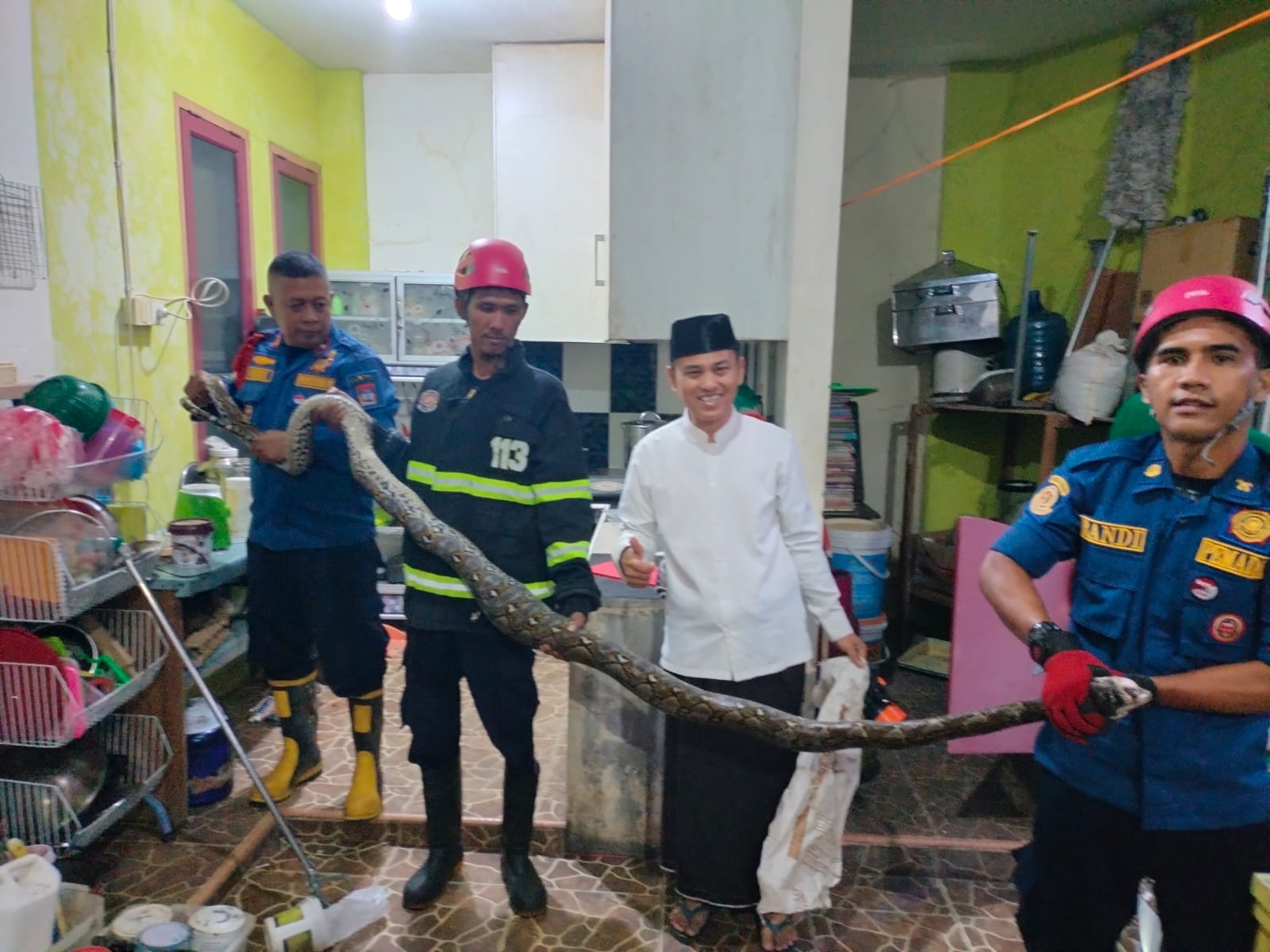 Tim Damkar Padang mengevakuasi Ular Piton yang masuk ke dalam rumah warga (Foto: Damkar Padang)