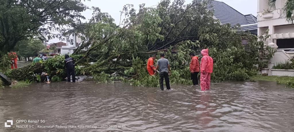 Evakuasi pohon tumbang. (Foto: istimewa)