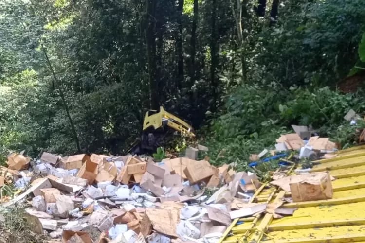 Truk masuk jurang di Sitinjau Lauik. (Foto: istimewa)