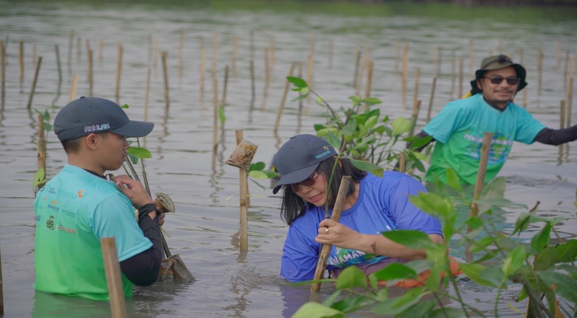 Peringati Hari Lingkungan Hidup dan Laut Sedunia, Biofarma Group Tanam 5.500 Bibit Mangrove di Subang