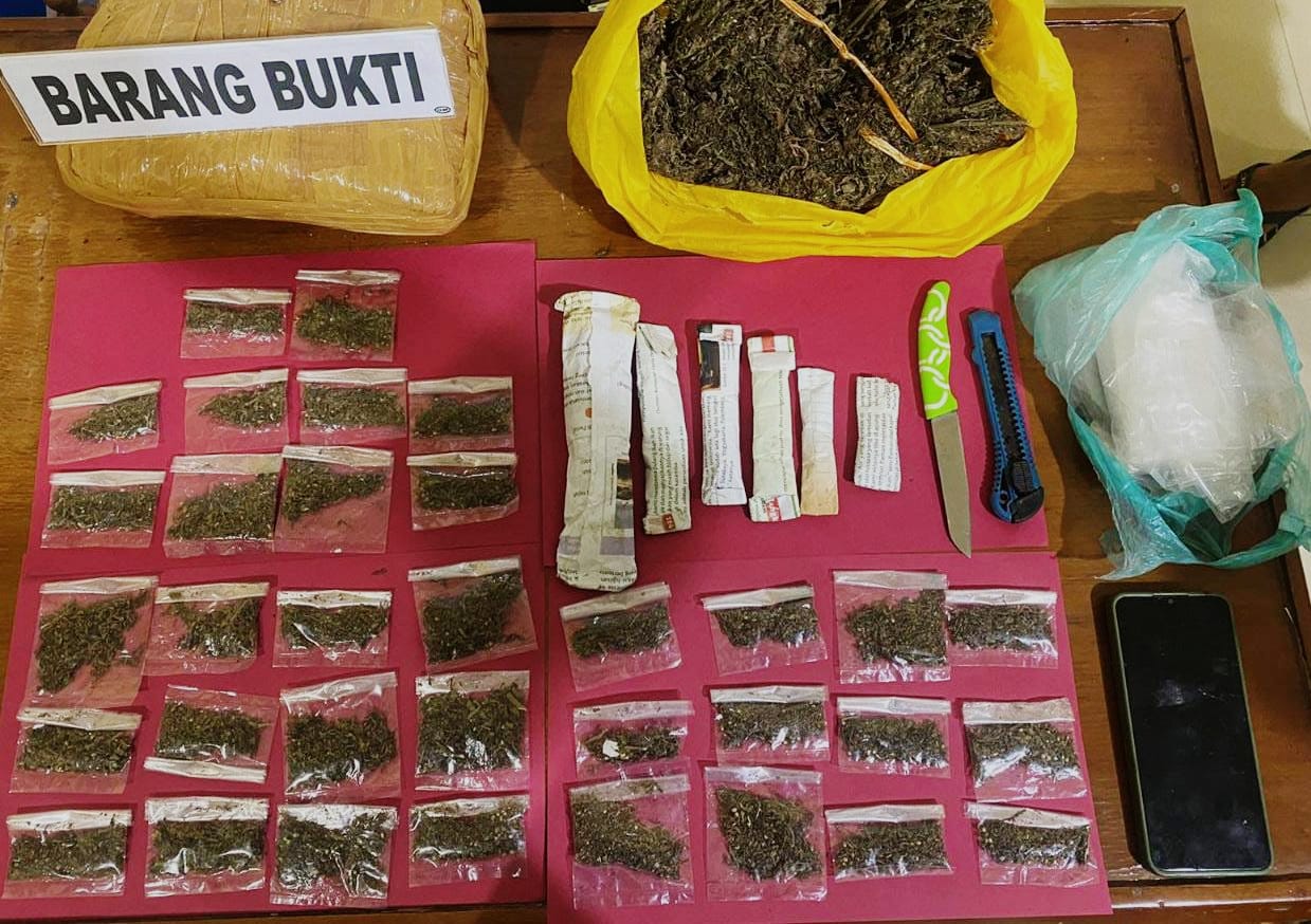 Bawa 42 paket ganja kering, seorang pria asal Kecamatan Air Pura ditangkap. (Foto: istimewa)