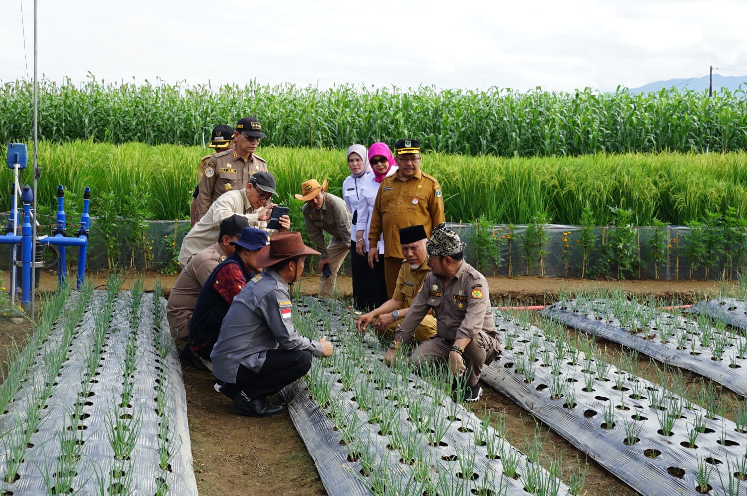 Penas KTNA bakal dihadiri 40 ribu orang. (Foto: istimewa)