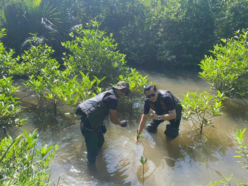 Anggota klub sepeda motor untuk menanam bibit mangrove.