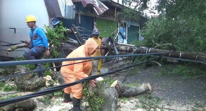 BPBD Kota Padang melakukan evakuasi pohon tumbang. (Foto: istimewa)