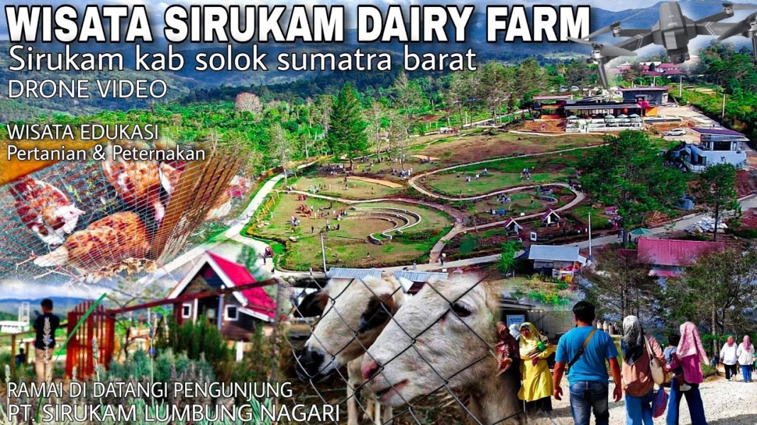 Sirukam Dairy Farm. (Foto: YouTube)