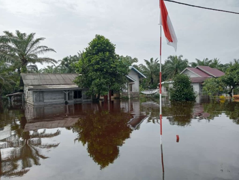 Banjir melanda Kabupaten Pesisir Selatan. (Foto: BNPB)