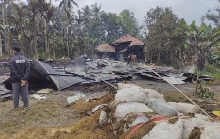 Kebakaran kandang ayam di Padang Pariaman. (Foto: istimewa)