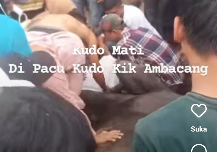 Seekor kuda mati mendadak di Agam. (Foto: tangkapan layar)