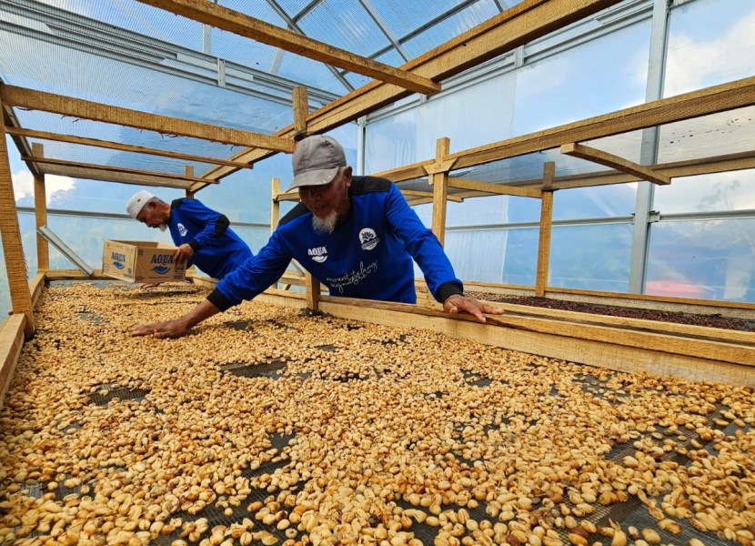 Petani kopi di Solok menjemur kopi