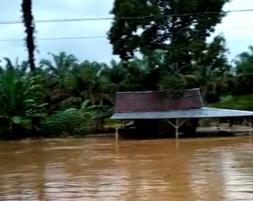 Sungai Batang Paaman meluap. (Foto: istimewa)