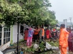 Pohon tumbang timpa rumah warga di Padang. Foto: istimewa)