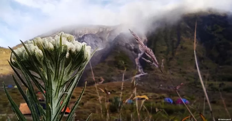 Gunung Talang, Sumbar. (Foto: Heru Candriko)