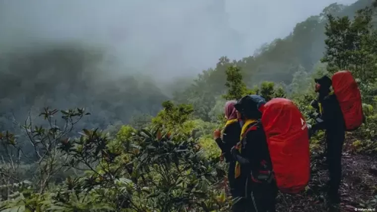 Gunung Mande Rabiah. (Foto: MPLH UNP)